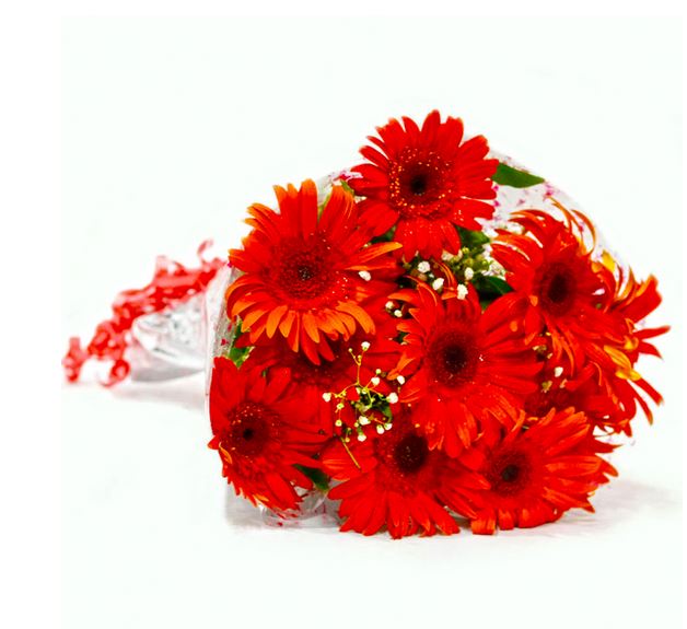 Red Gerbera Bouquet
